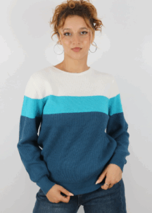 Pull Femme-301216-vog