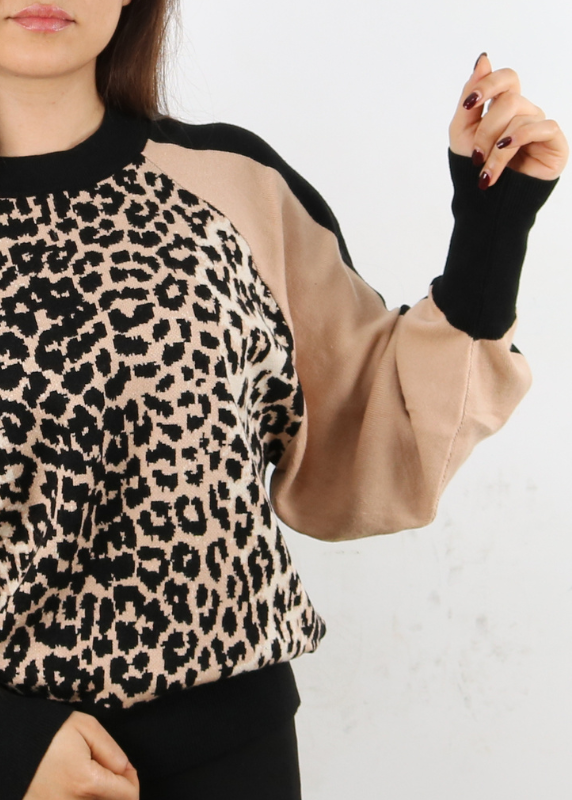 301248-leopard -vog (1)